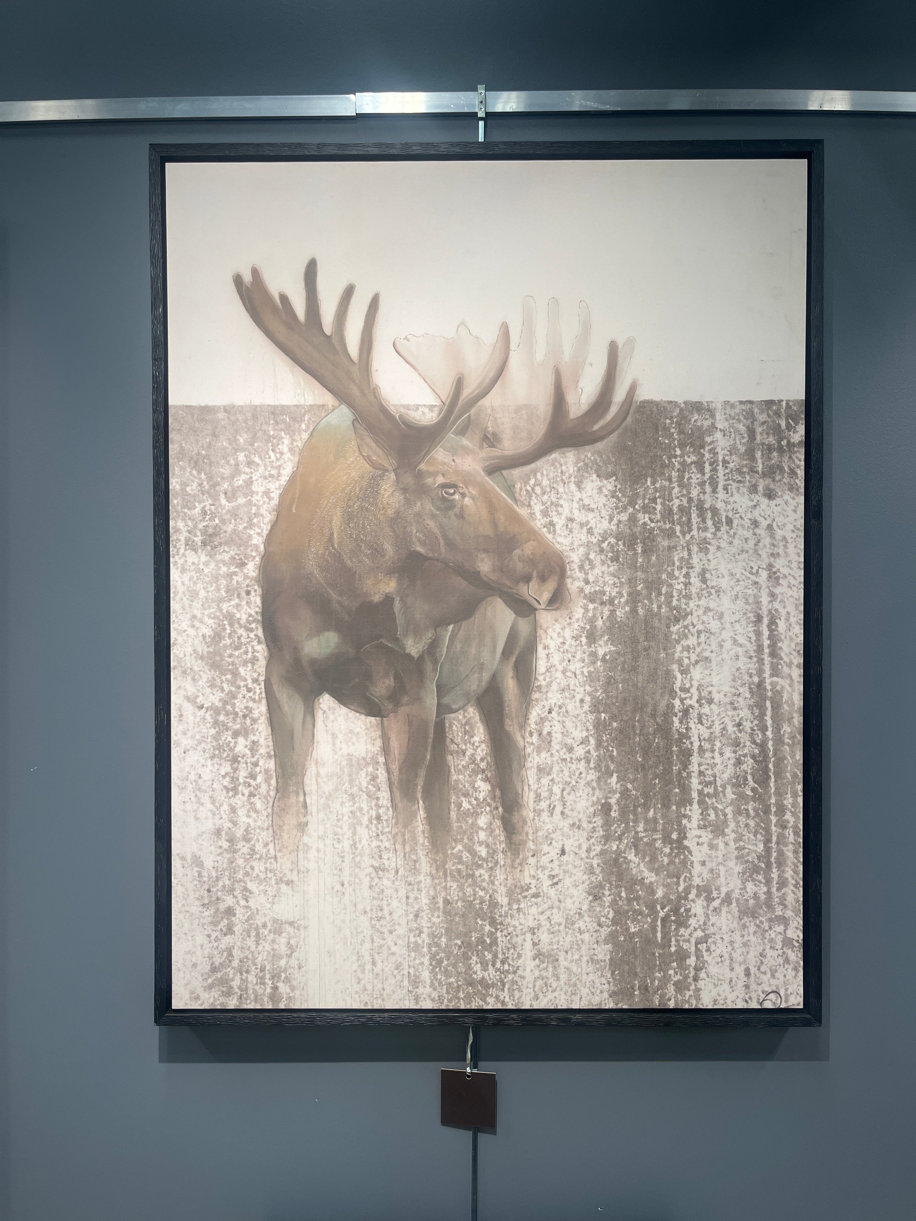 MOOSE IN WOODS