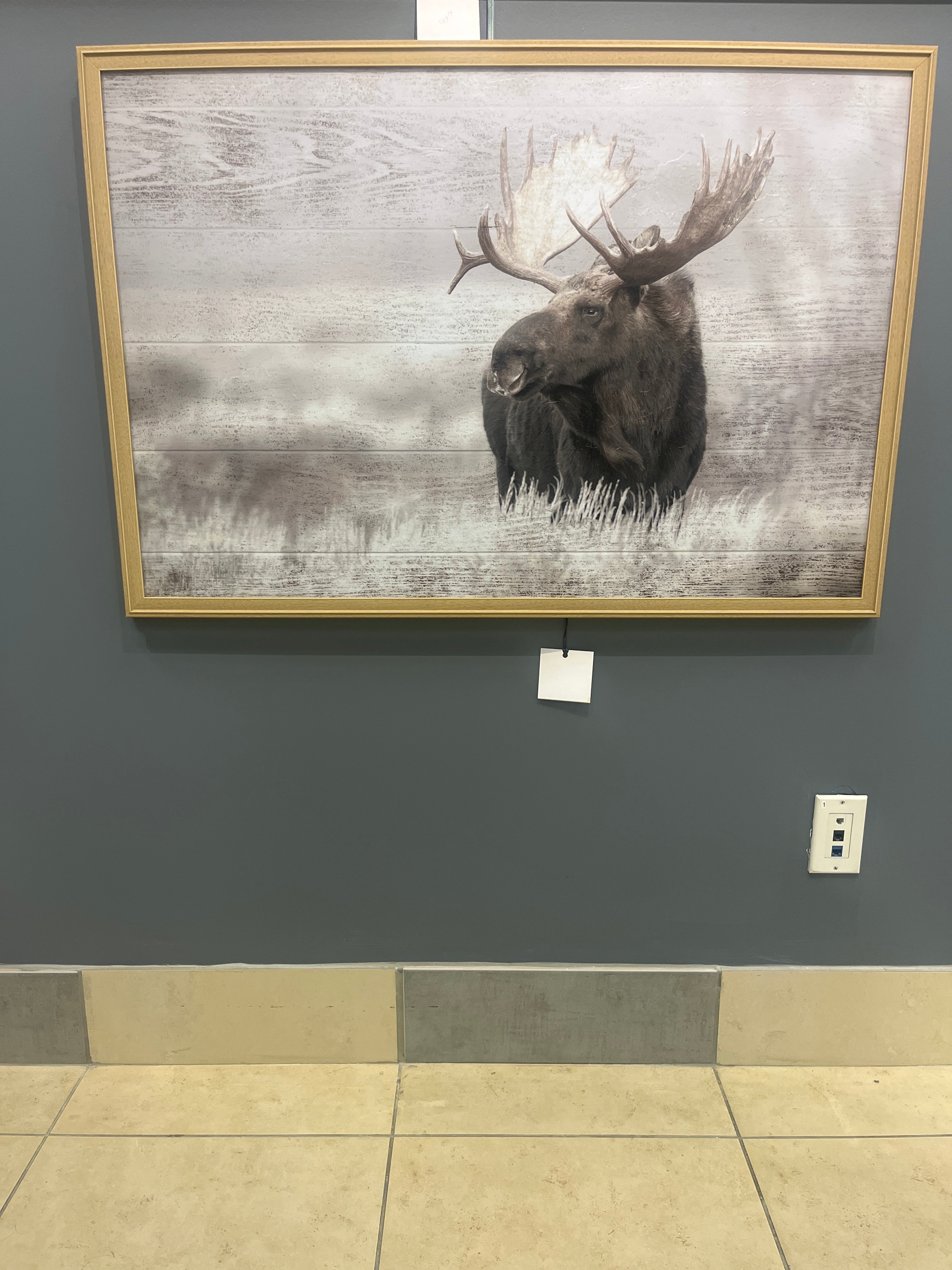 “Moose" – Rustic Tranquility (Stucco Finish)