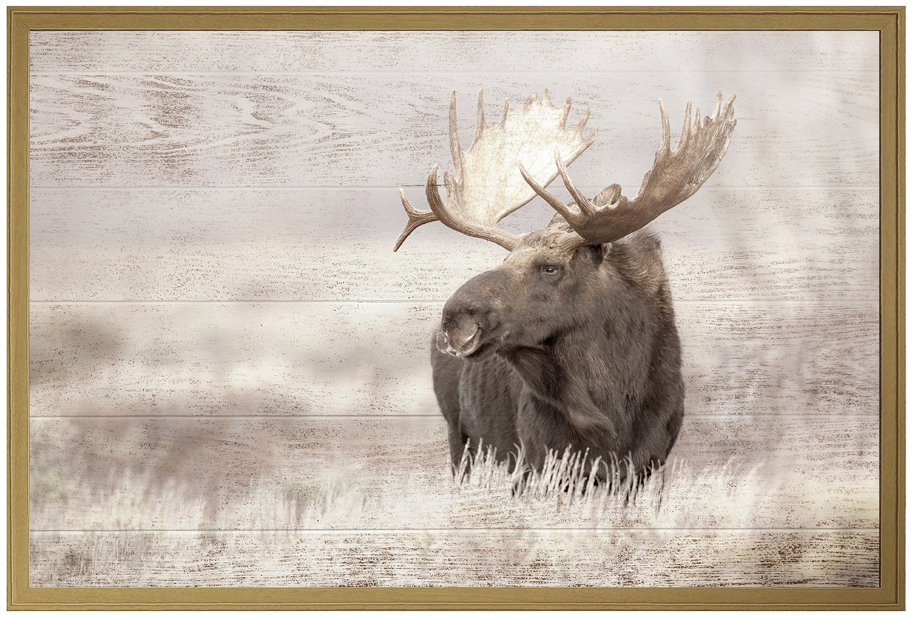 “Moose" – Rustic Tranquility (Stucco Finish)