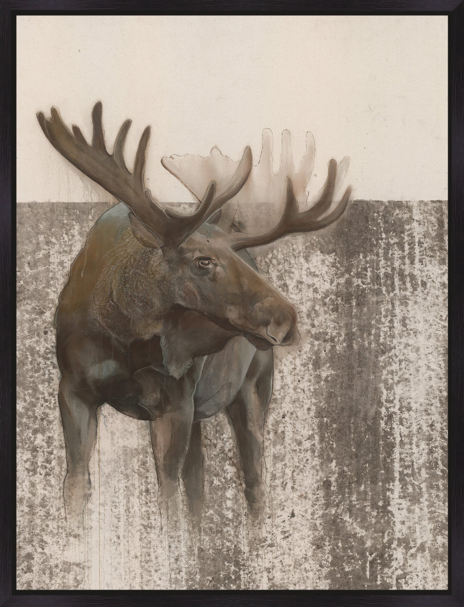 MOOSE IN WOODS