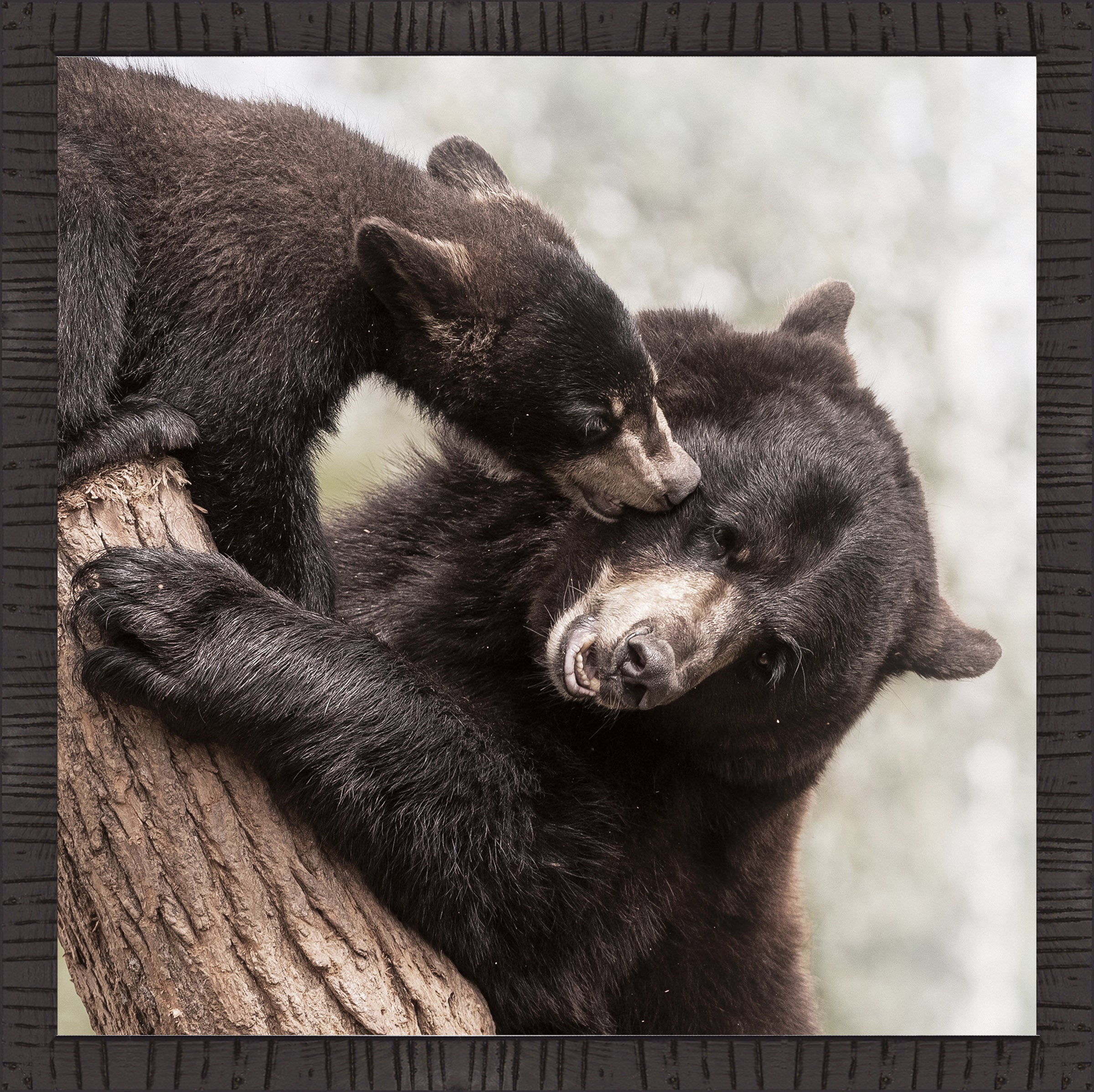 BEAR & CUB