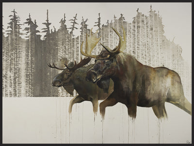 Moose (27" x 35")