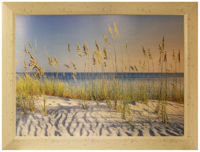 Beach Morning (26" x 34")