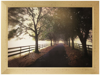 Misty Road (26" x 34")