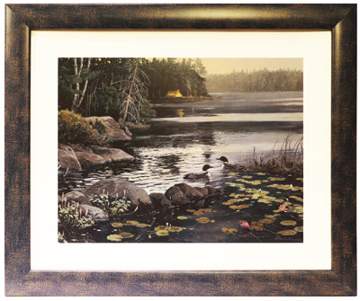 Northen Visitor (19" x 23")