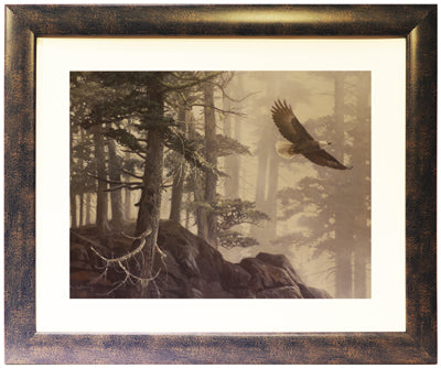 Flying High (19" x 23")