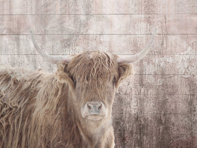Buffalo I (27" x 35")