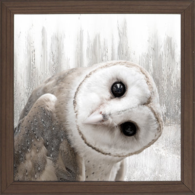 Framed Laminated Paper (13.5" x 13.5")