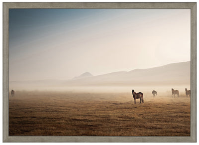 Desert Horses (21.5" x 29.5")