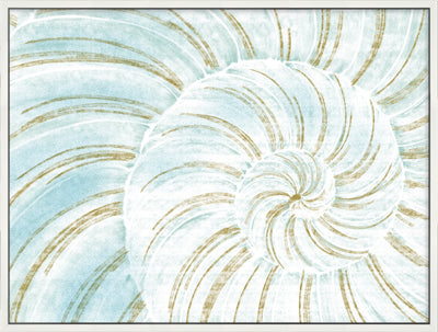 Closeup Shell II (38" x 50")