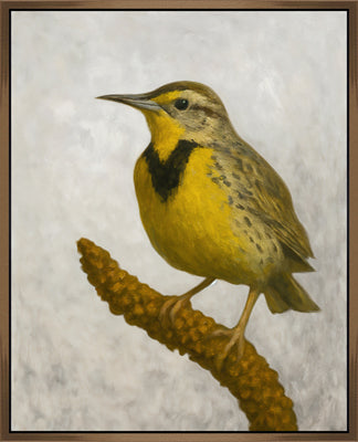 Western Meadowlark II (17" x 21")