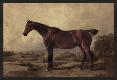 Vintage Horse I (25" x 37")
