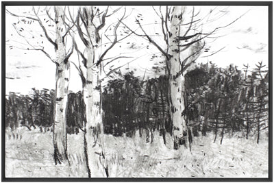 Monochrome Forest (34" x 50")