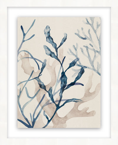 Seaweed III (17" x 21")