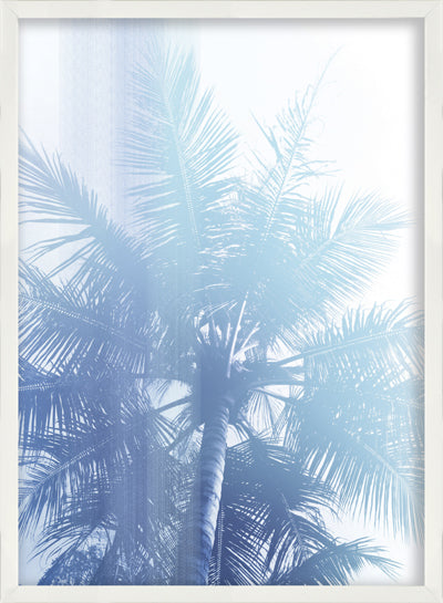 Palm Tree 1 (25" x 33")