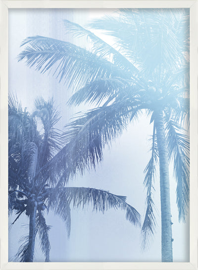 Palm Tree 3 (25" x 33")