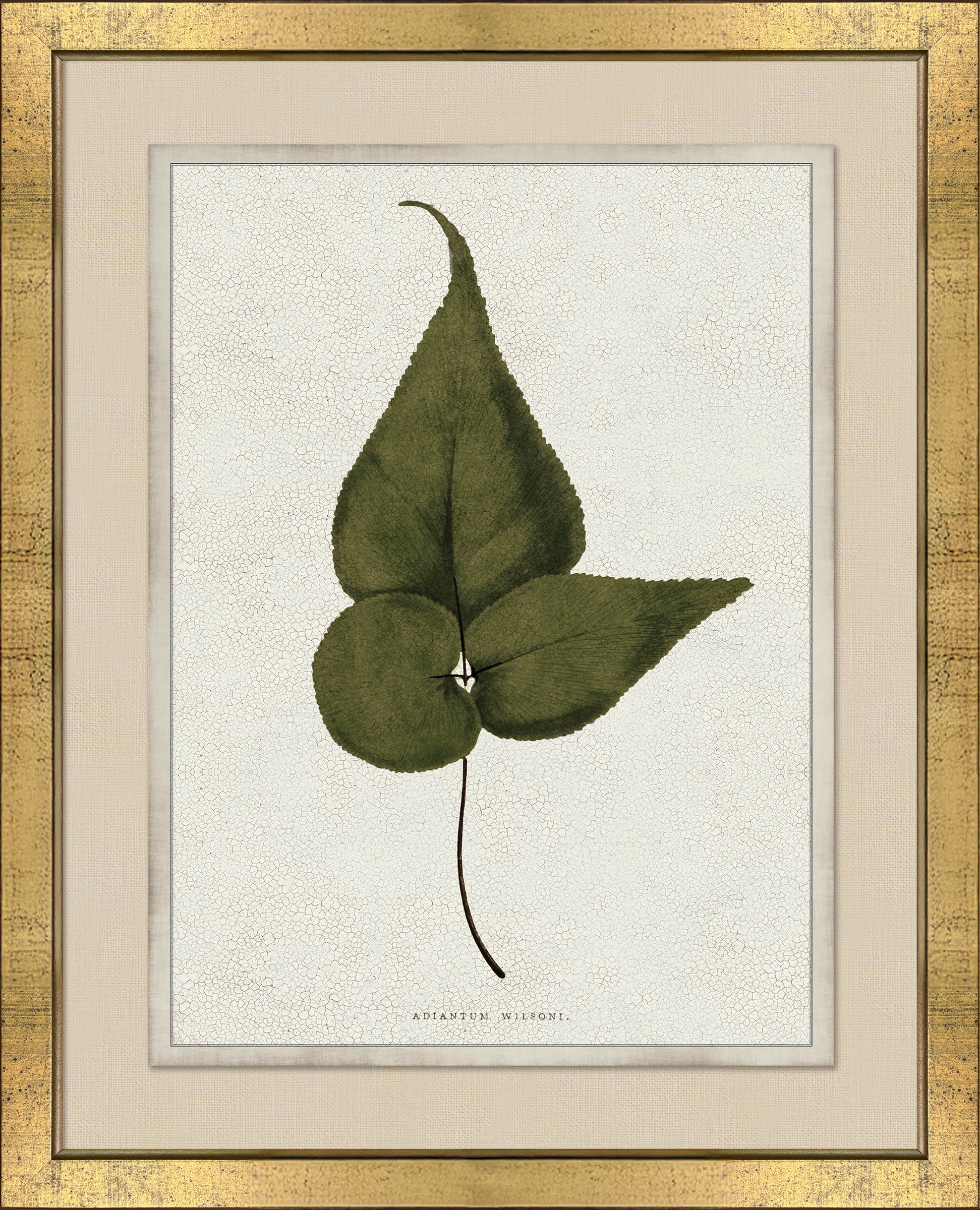 Botanical Green III (17" x 21")