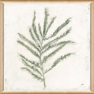 Plant Life 1 (13" x 13")