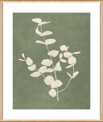 Botanical Study I (21" x 25")
